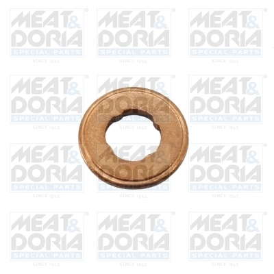 Seal Ring, injector